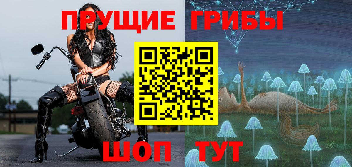 Котельники  Псилоцибиновые грибы ЛСД  Вход с VPN  Псилоцибиновые грибы прущие грибы 