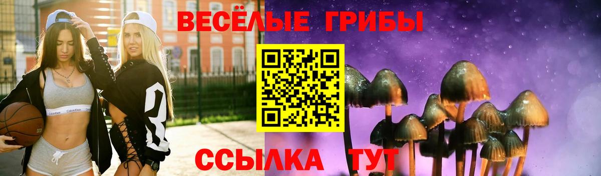 Галлюциногенные грибы GOLDEN TEACHER Котельники